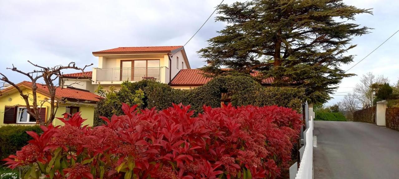 Vila Palma - App Palma & Room Figa Анкаран Екстер'єр фото